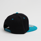 Two-Tone SnapBack