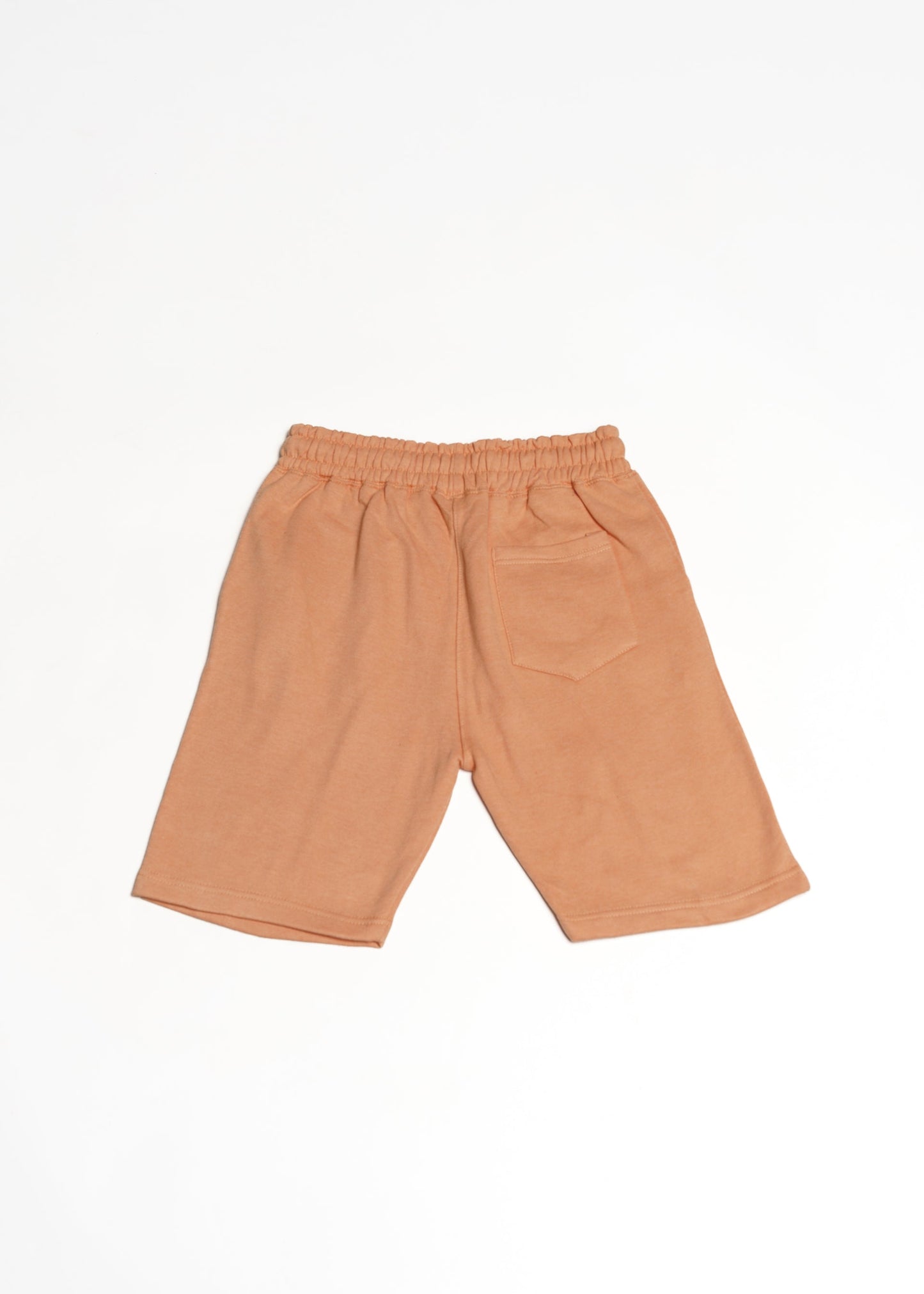 Sand Heavy Blend Fleece SweatShort